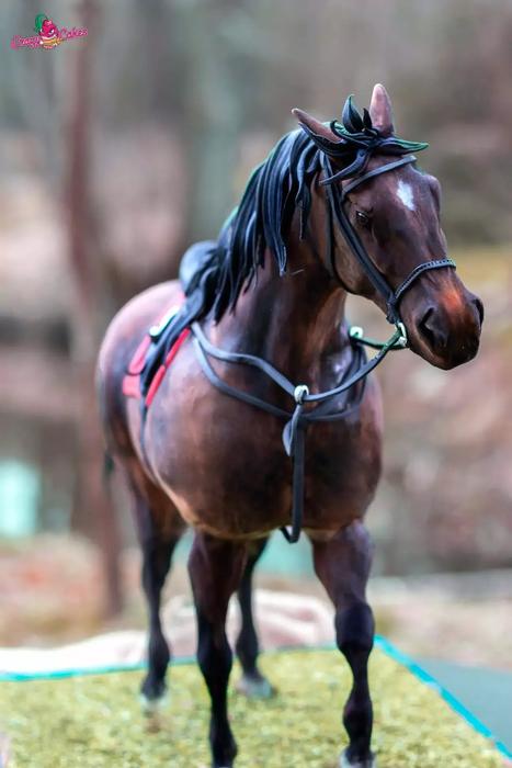 Cukrářka Lucie Charvátová