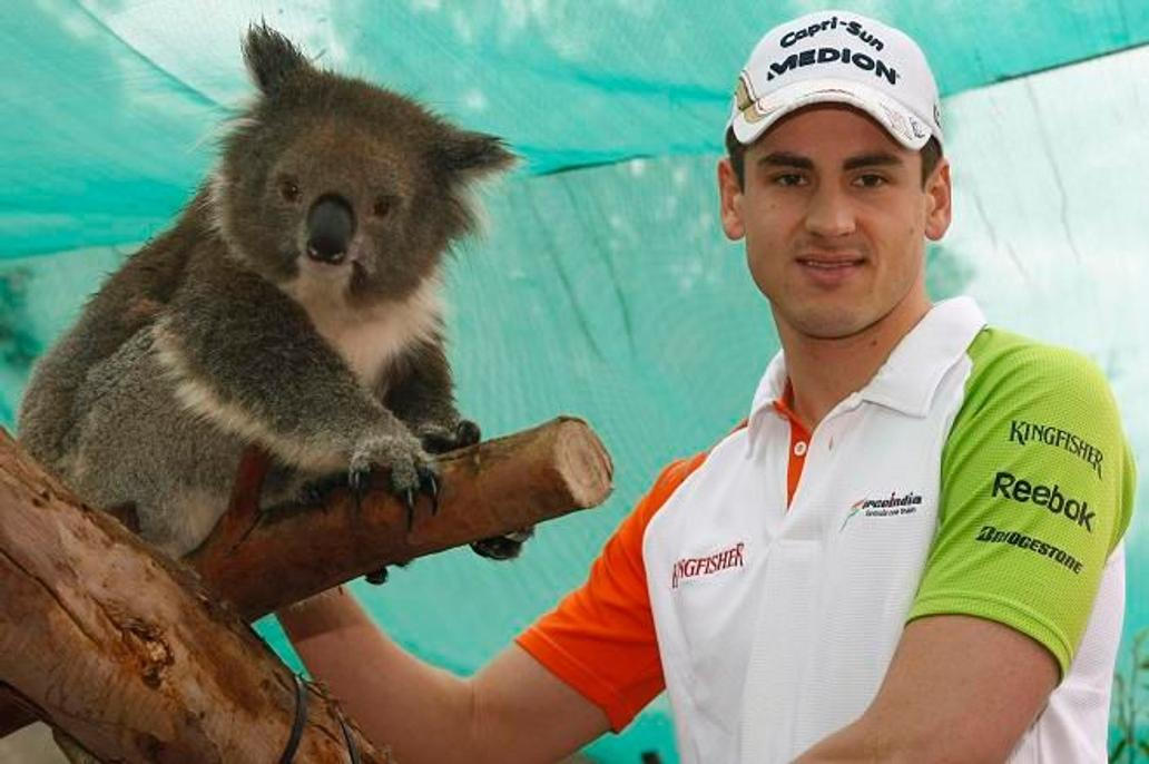 Adrian Sutil v zoo s koalou