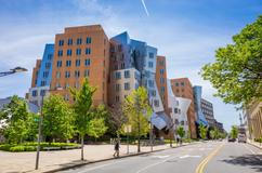 Ray and Maria Stata Center, Massachusetts Institute of Technology