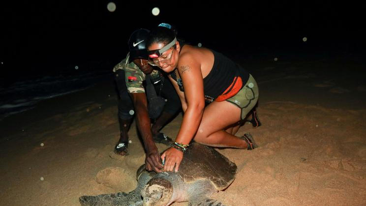 Bývalý lovec želv Joaquim Avelino Fragoso (vlevo) nyní asistuje při jejich záchraně.