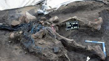 Spotlight Aktuálně.cz - Vladimír Dzuro