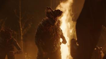 Spotlight Aktuálně.cz - Miroslav Kolařík