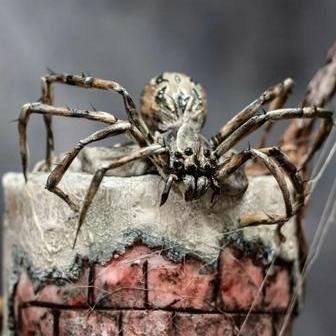 Cukrářka Lucie Charvátová