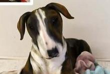 Cukrářka Lucie Charvátová