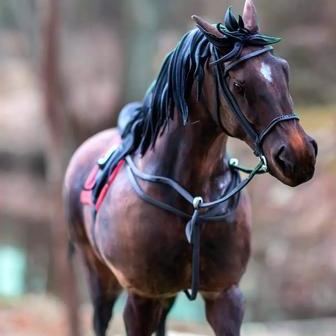 Cukrářka Lucie Charvátová