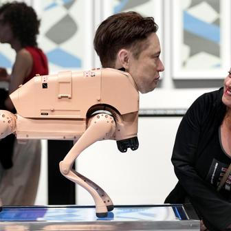 Škoda tyhle fotky minout