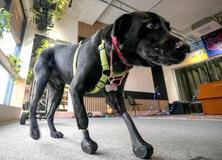 Škoda tyhle fotky minout