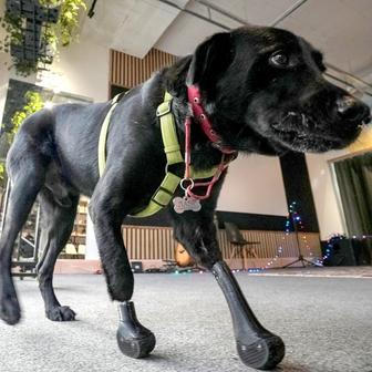 Škoda tyhle fotky minout