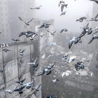 Škoda tyhle fotky minout