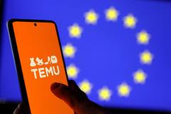 FILE PHOTO: Illustration shows Temu logo and EU flag
