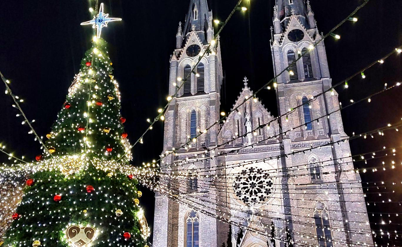 Vánoční strom na pražském náměstí Míru. 11. prosince 2025.