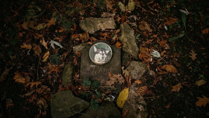 hřbitov Bohnice hřbitov bláznů