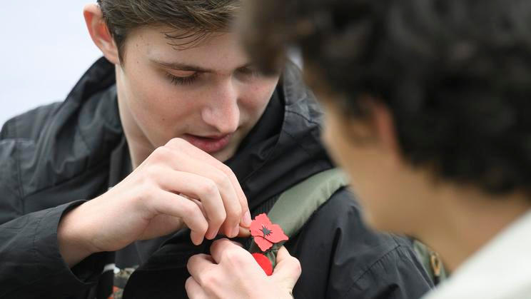 Den válečných veteránů, symbol vlčí mák, květ, odznak