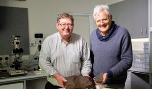 meteorit melbourne muzeum