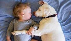 Přestože byla fenka vůči lidem velmi ostražitá, její psí srdce si získal Elizabethin nejmladší syn Archie.