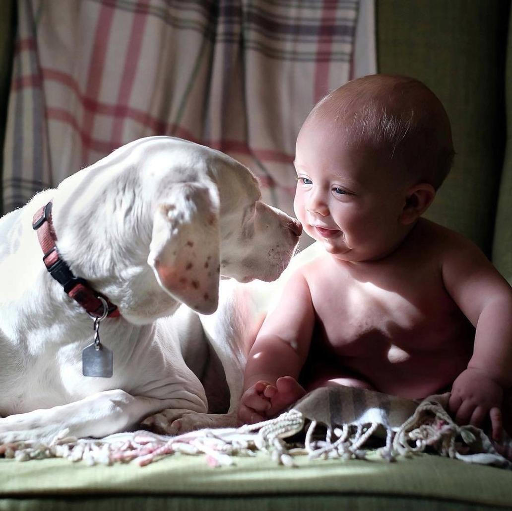 Přestože byla fenka vůči lidem velmi ostražitá, její psí srdce si získal Elizabethin nejmladší syn Archie.