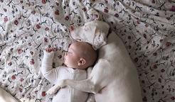 Přestože byla fenka vůči lidem velmi ostražitá, její psí srdce si získal Elizabethin nejmladší syn Archie.