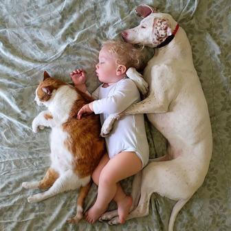 Přestože byla fenka vůči lidem velmi ostražitá, její psí srdce si získal Elizabethin nejmladší syn Archie.