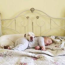 Přestože byla fenka vůči lidem velmi ostražitá, její psí srdce si získal Elizabethin nejmladší syn Archie.