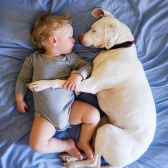 Přestože byla fenka vůči lidem velmi ostražitá, její psí srdce si získal Elizabethin nejmladší syn Archie.