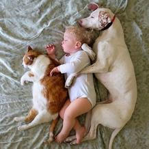 Přestože byla fenka vůči lidem velmi ostražitá, její psí srdce si získal Elizabethin nejmladší syn Archie.