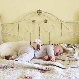 Přestože byla fenka vůči lidem velmi ostražitá, její psí srdce si získal Elizabethin nejmladší syn Archie.