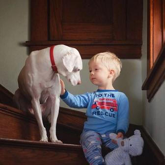 Přestože byla fenka vůči lidem velmi ostražitá, její psí srdce si získal Elizabethin nejmladší syn Archie.