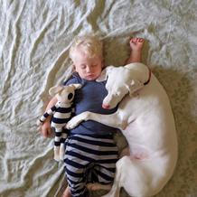 Přestože byla fenka vůči lidem velmi ostražitá, její psí srdce si získal Elizabethin nejmladší syn Archie.