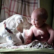 Přestože byla fenka vůči lidem velmi ostražitá, její psí srdce si získal Elizabethin nejmladší syn Archie.