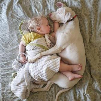 Přestože byla fenka vůči lidem velmi ostražitá, její psí srdce si získal Elizabethin nejmladší syn Archie.