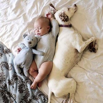 Přestože byla fenka vůči lidem velmi ostražitá, její psí srdce si získal Elizabethin nejmladší syn Archie.