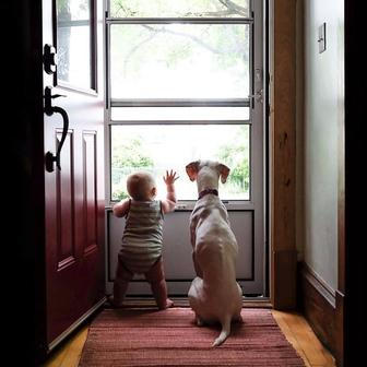 Přestože byla fenka vůči lidem velmi ostražitá, její psí srdce si získal Elizabethin nejmladší syn Archie.