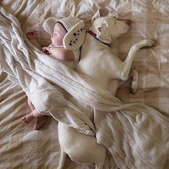 Přestože byla fenka vůči lidem velmi ostražitá, její psí srdce si získal Elizabethin nejmladší syn Archie.