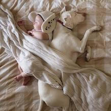 Přestože byla fenka vůči lidem velmi ostražitá, její psí srdce si získal Elizabethin nejmladší syn Archie.