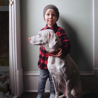 Přestože byla fenka vůči lidem velmi ostražitá, její psí srdce si získal Elizabethin nejmladší syn Archie.