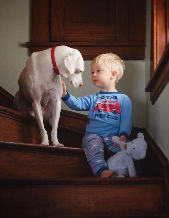 Přestože byla fenka vůči lidem velmi ostražitá, její psí srdce si získal Elizabethin nejmladší syn Archie.