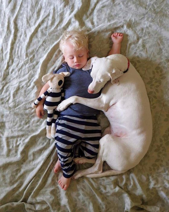 Přestože byla fenka vůči lidem velmi ostražitá, její psí srdce si získal Elizabethin nejmladší syn Archie.