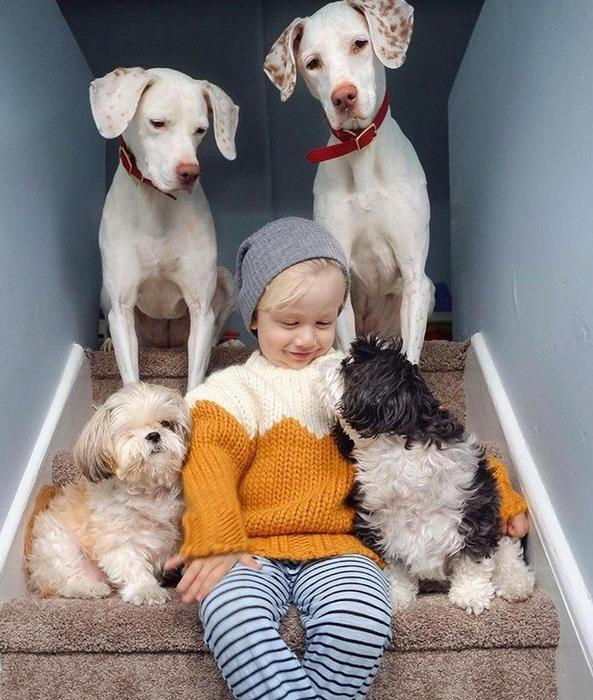 Přestože byla fenka vůči lidem velmi ostražitá, její psí srdce si získal Elizabethin nejmladší syn Archie.