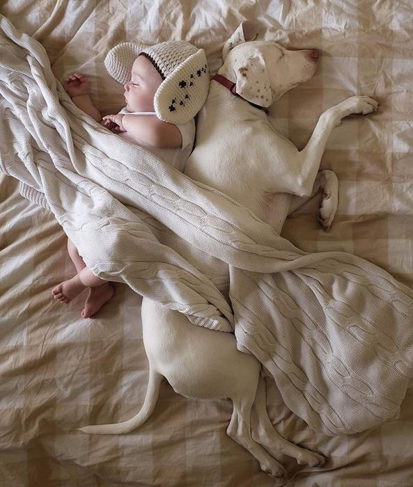 Přestože byla fenka vůči lidem velmi ostražitá, její psí srdce si získal Elizabethin nejmladší syn Archie.