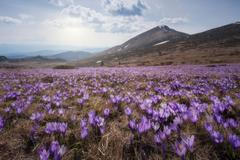 A i přesto, že je Evropa hustě osídlená, pocit svobody podle Lašana v horách zůstává stejný.