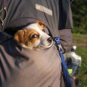 Matouš s Annou se takto v horách „ztrácejí“ už roky.
