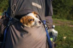 Matouš s Annou se takto v horách „ztrácejí“ už roky.
