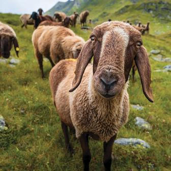 „Štvalo mě, že tohle je všechno, co dokážu. Chtěl jsem prostě zjistit, jestli mám na víc.“
