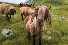 „Štvalo mě, že tohle je všechno, co dokážu. Chtěl jsem prostě zjistit, jestli mám na víc.“
