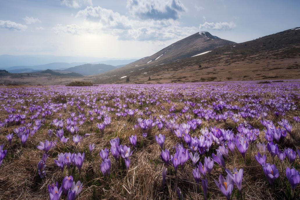 A i přesto, že je Evropa hustě osídlená, pocit svobody podle Lašana v horách zůstává stejný.