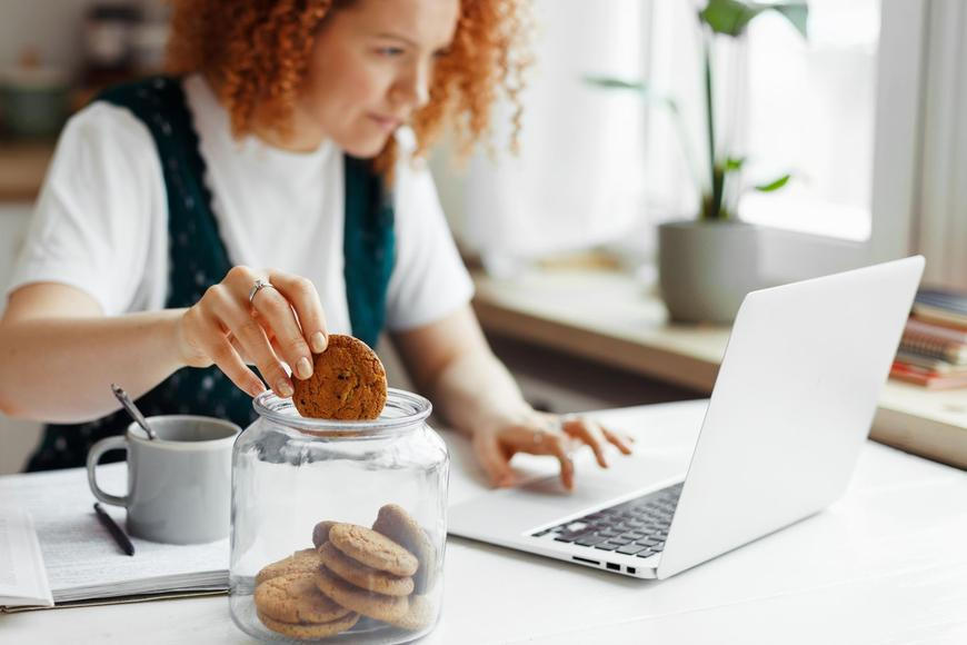 Za psa, na daních i za popelnici. Nedlužíte státu? Kde si zkontrolovat nedoplatky