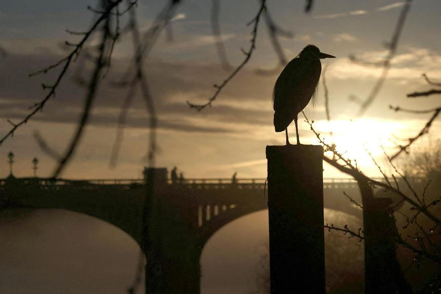 Česko svírá inverze. Předpověď napovídá, kdy se ukáže slunce a jak bude o Vánocích