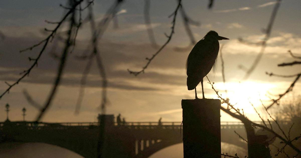 Česko svírá inverze. Předpověď napovídá, kdy se ukáže slunce a jak bude o Vánocích