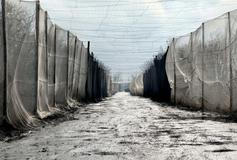 Anti-drone nets erected over a road near the frontline city of Kupiansk