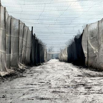 Anti-drone nets erected over a road near the frontline city of Kupiansk